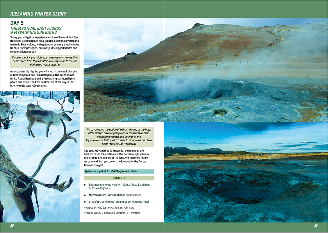travel-brochure-iceland